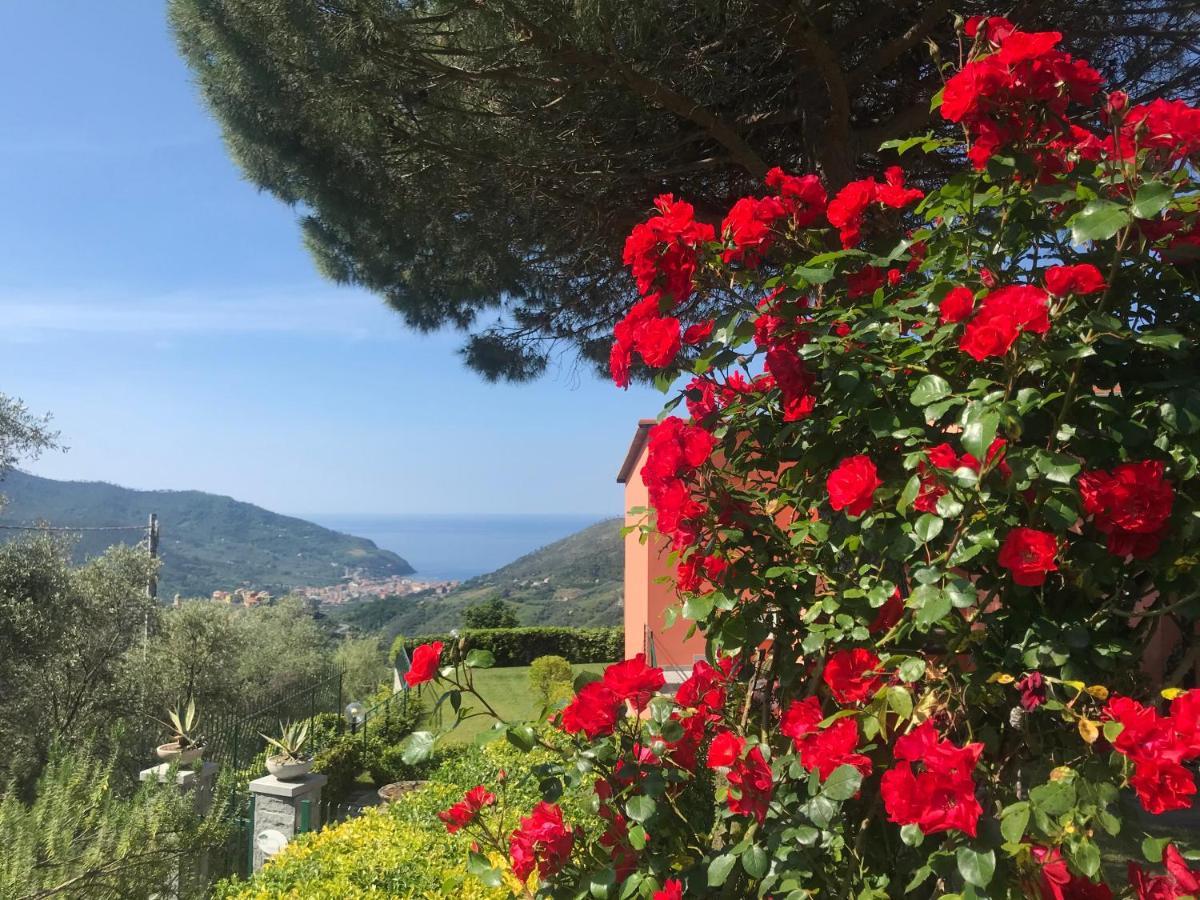 Guest house La Vignana - 5 Terre