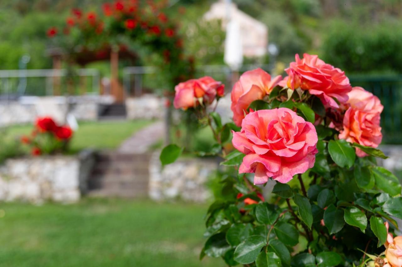 Guest house La Vignana - 5 Terre Levanto